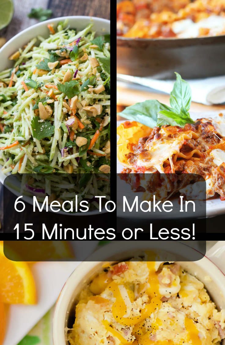 6 Meals To Make In 15 Minutes Or Less! | DiscountQueens.com